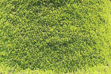 《真三国无双：起源》制作人：女角不性感并非刻意削弱