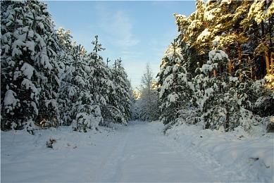 《铲子骑士：口袋地牢》Steam页面上线 支持中文